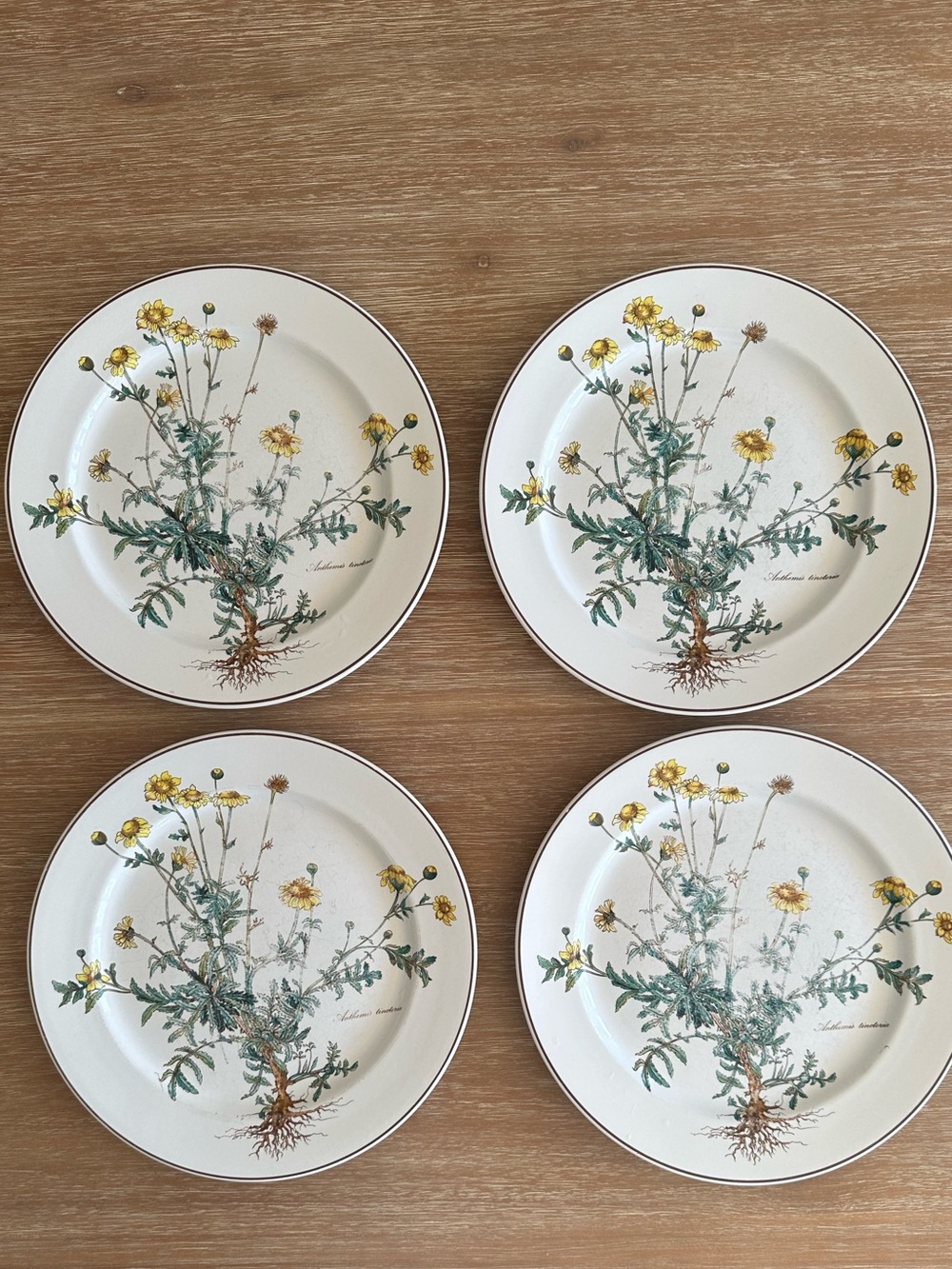 Villeroy & Boch Botanica Yellow Floral Dinner Plates - Set of 4